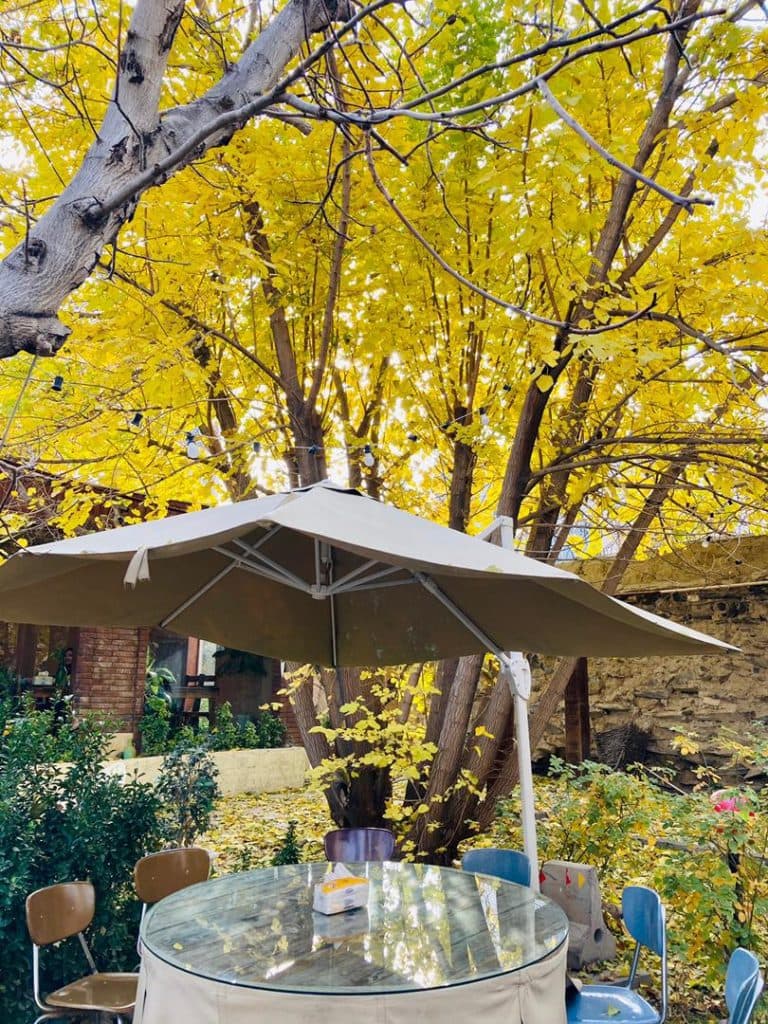 کافه آش و باغ رستوران مهتاب در اراک