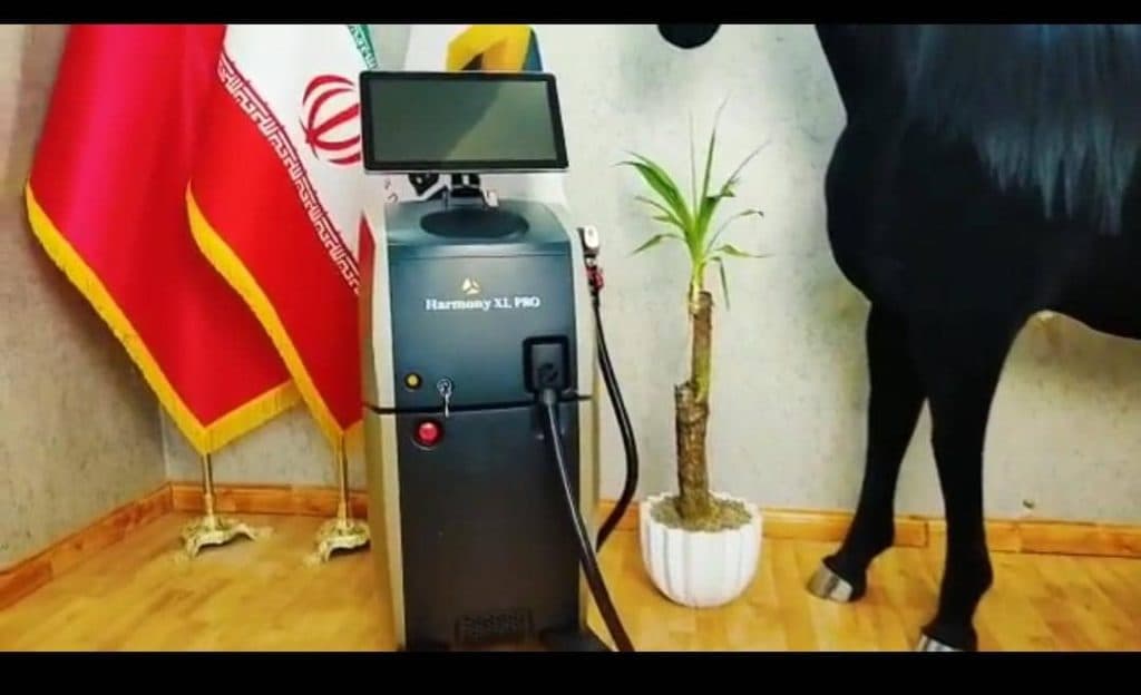 کلینیک زیبایی پرمون در اردبیل