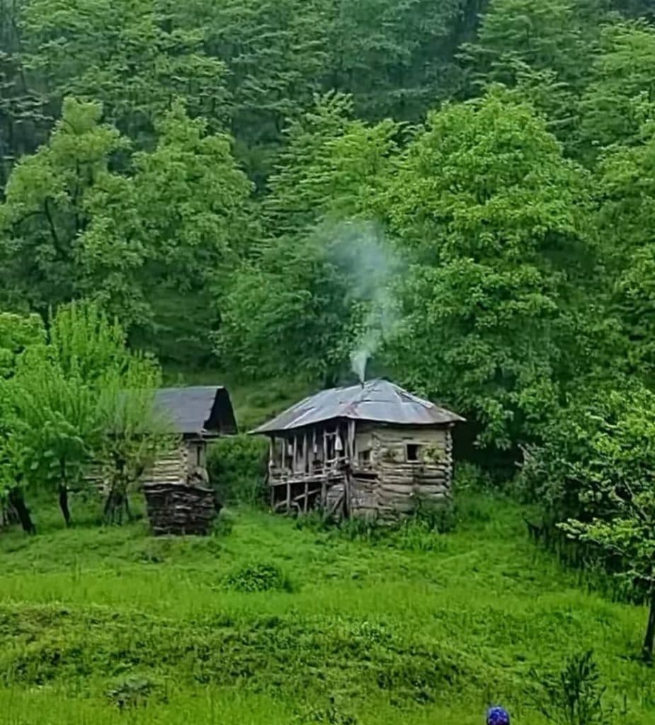 اجاره ویلا و اقامتگاه مستر ویلا در لفورشیرگاه