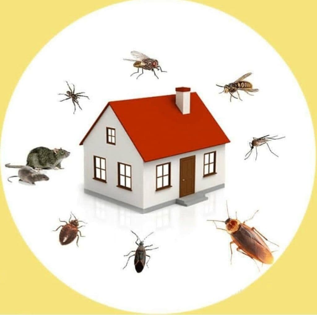 شرکت سمپاشی نوین پیشرو در خوزستان