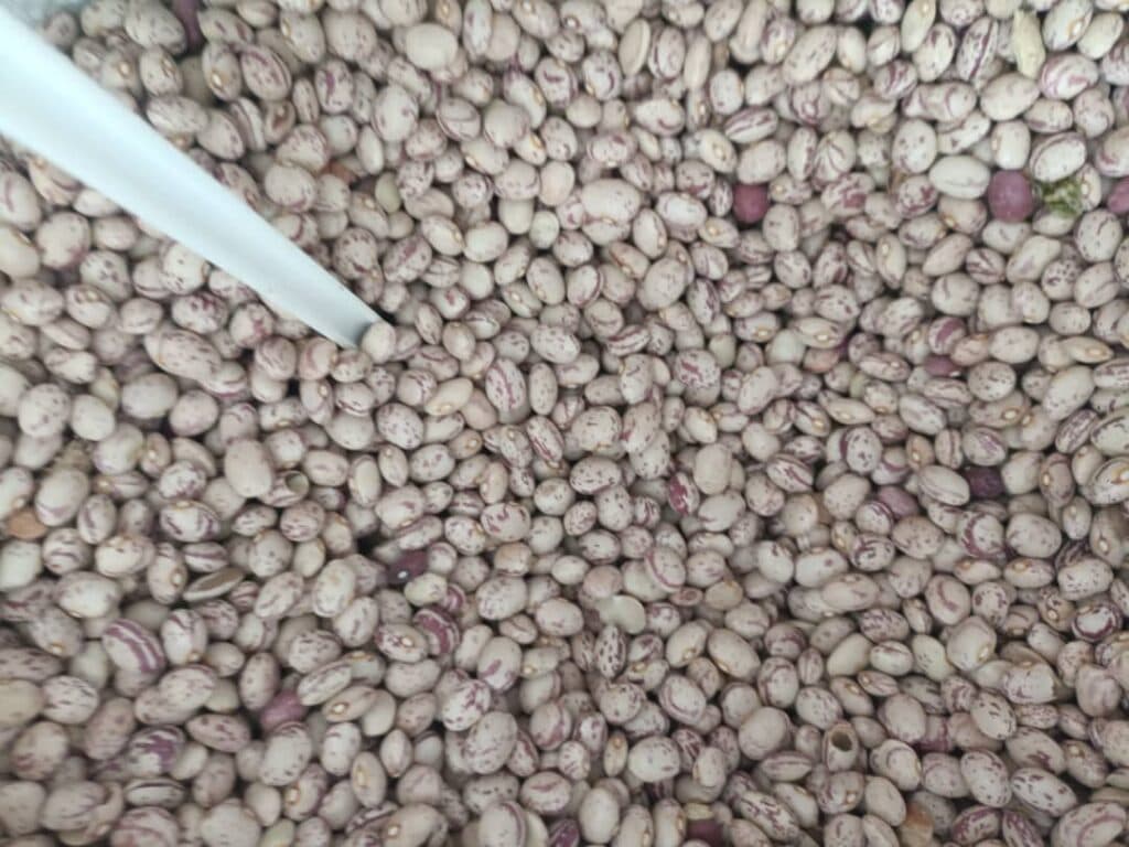 آجیل سرای عباسی در نجف آباد