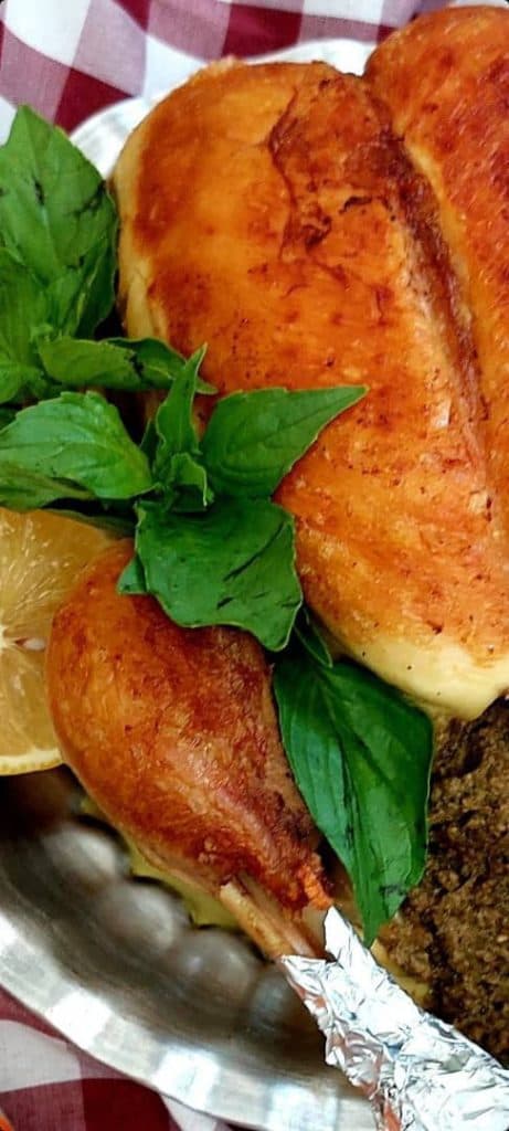 غذای خانگی و بیرون بر فایو فود ۵ در لاهیجان گیلان