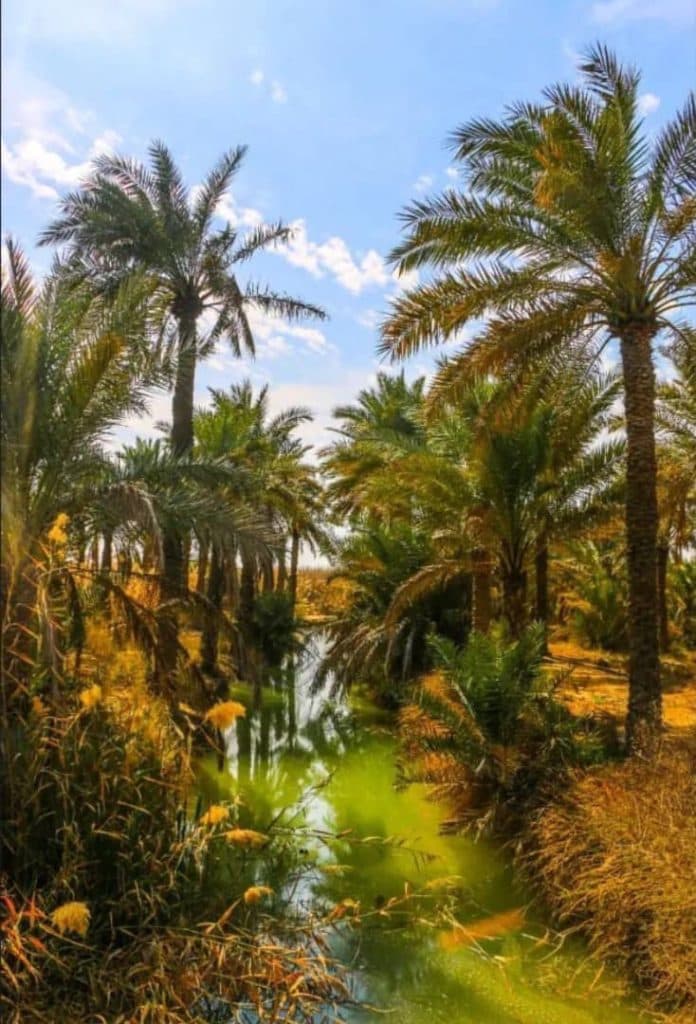 رستوران گلدشت بروجرد در آبادان