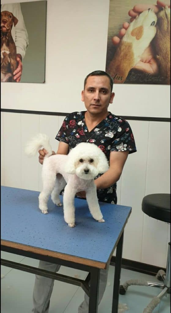 آموزش و گرومینگ و آرایش حیوانات خانگی عمو ایرج در تهران