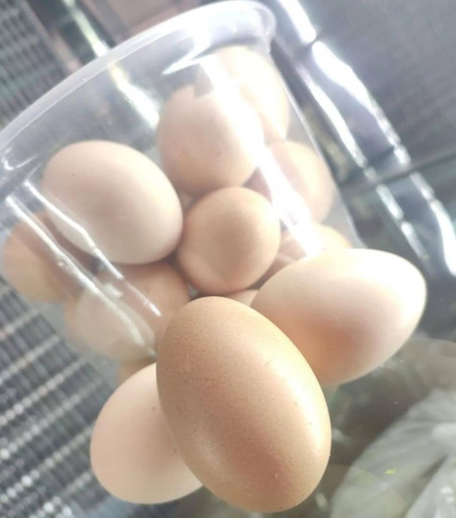 فروشگاه سبزی مارکت تنبل خونه خانم افتخاریان در شاهرود