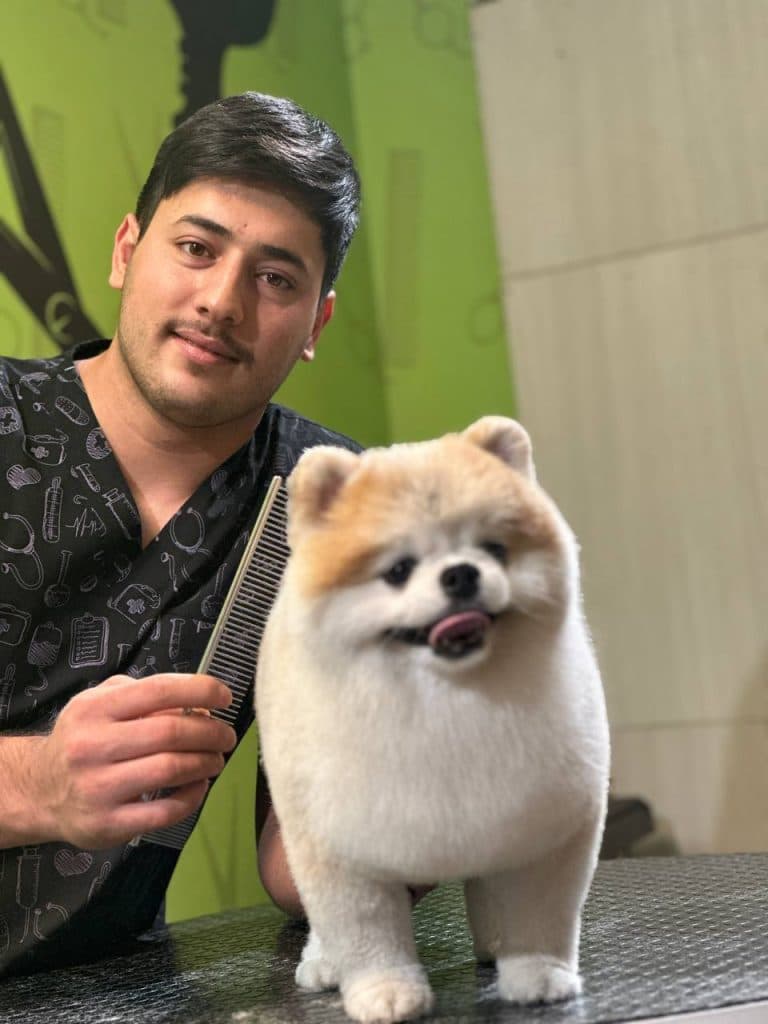 گرومینگ و آرایش حیوانات خانگی آریا در سعادت آباد تهران