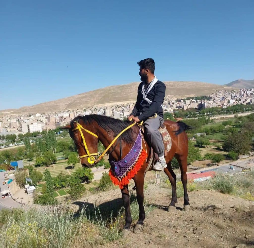 باشگاه سوارکاری کردستان پانسیون و پرورش اسب در بوکان آذربایجان غربی