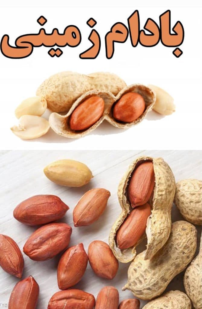 آجیل و خشکبار تانیل نظری در گنبد کاووس