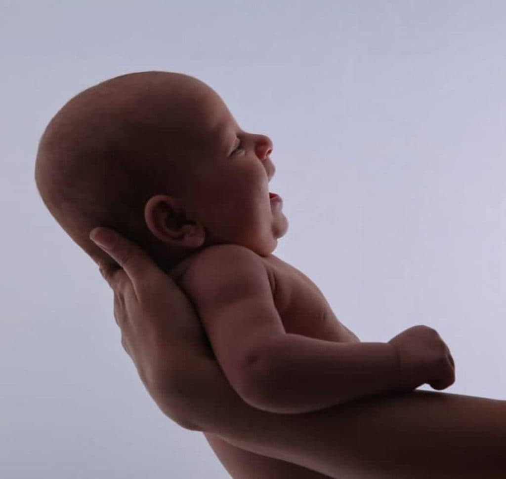 آتلیه عمارت در تربت حیدریه