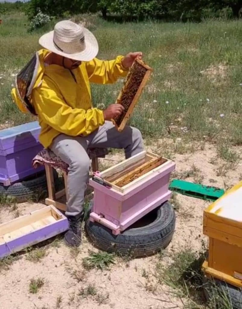 پرورش ملکه و زنبور عسل برادران دین محمدی در زنجان
