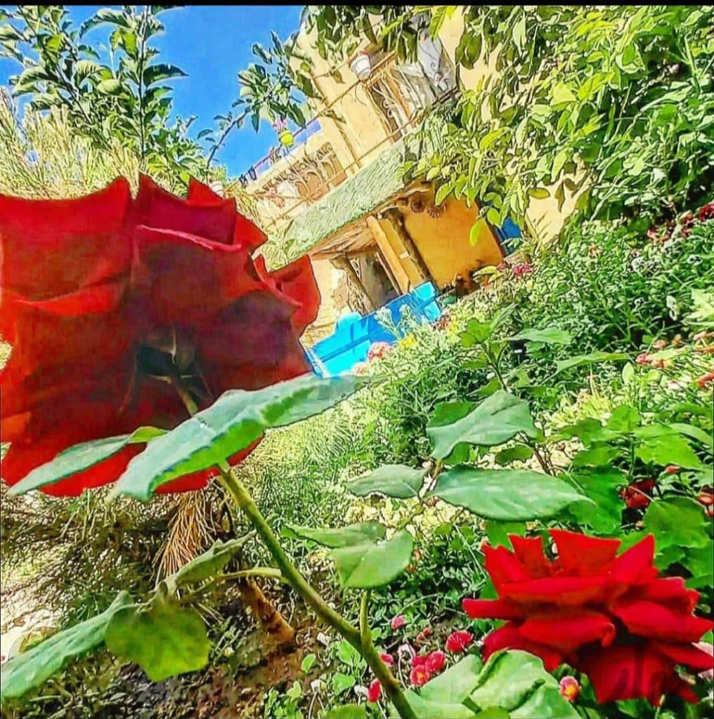 اقامتگاه برج شاندیز در مشهد