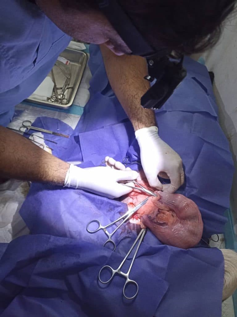 پت شاپ و کلینیک دامپزشکی دکتر ساسان بهنامی در بروجرد لرستان