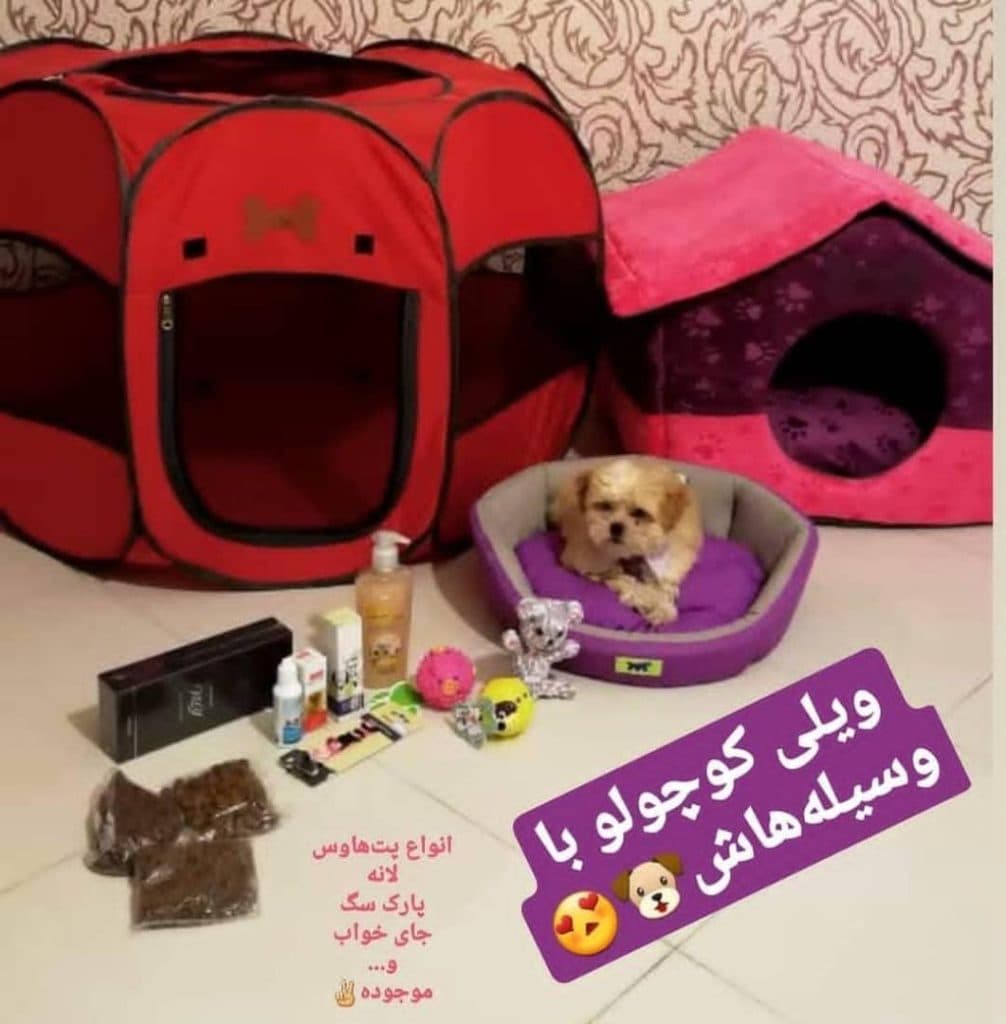 پت شاپ آریانا در سنندج