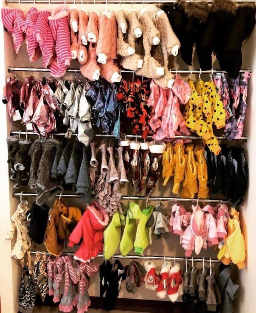 پت شاپ آریانا در سنندج