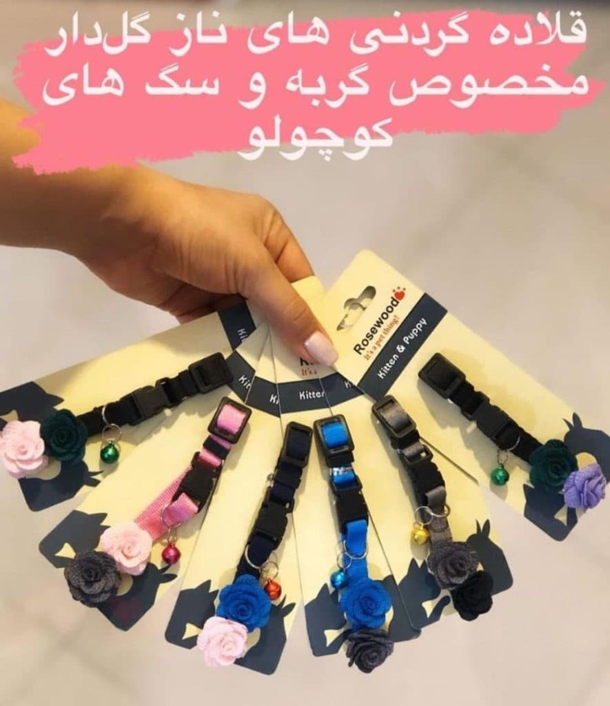 پت شاپ آریانا در سنندج