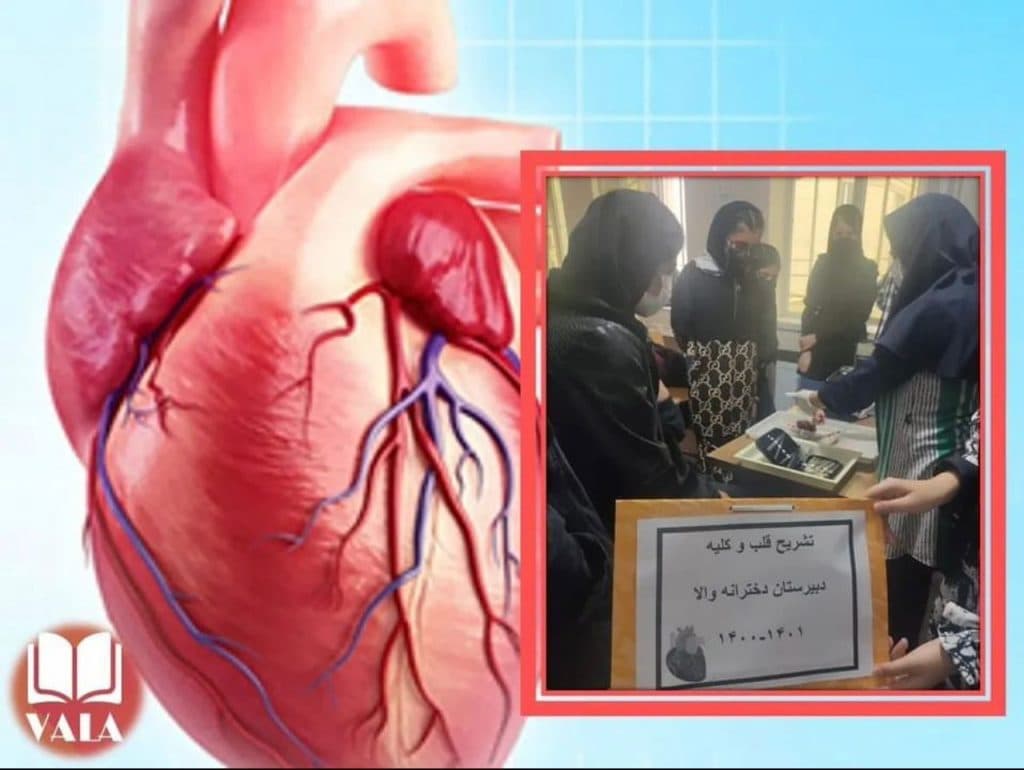 دبیرستان غیردولتی دخترانه والا در ارومیه آذربایجان غربی