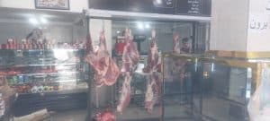 هایپر پروتئین نوک طلا در رشت