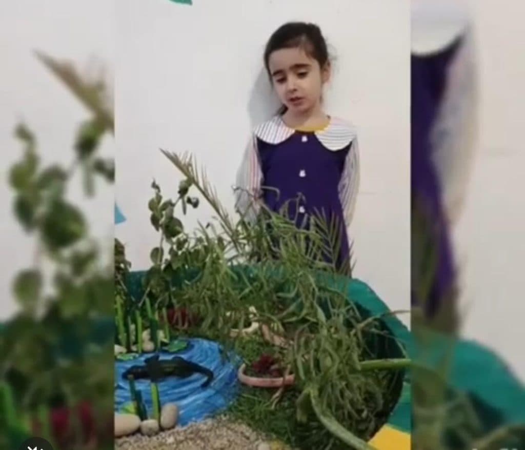 موسسه خلاقیت اندیشه کیان در ماهشهر خوزستان