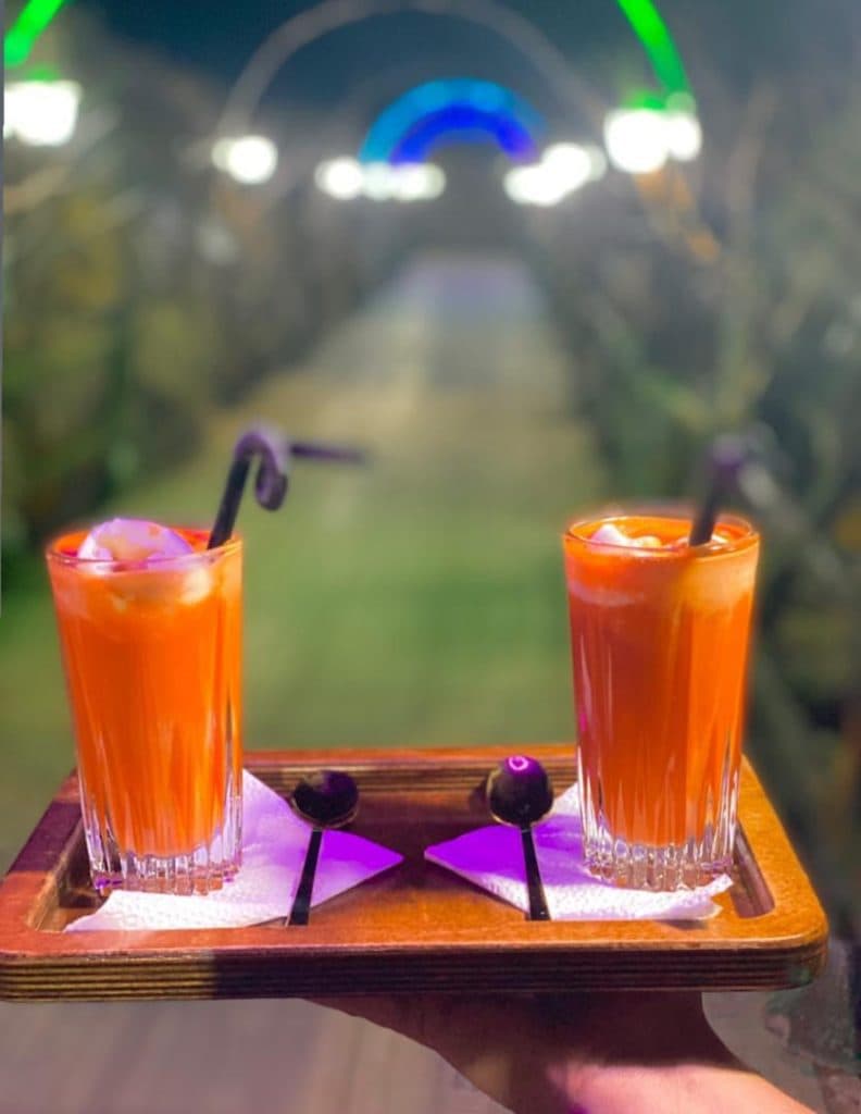 مجموعه پذیرایی و باغ رستوران شاخه نبات در بوکان