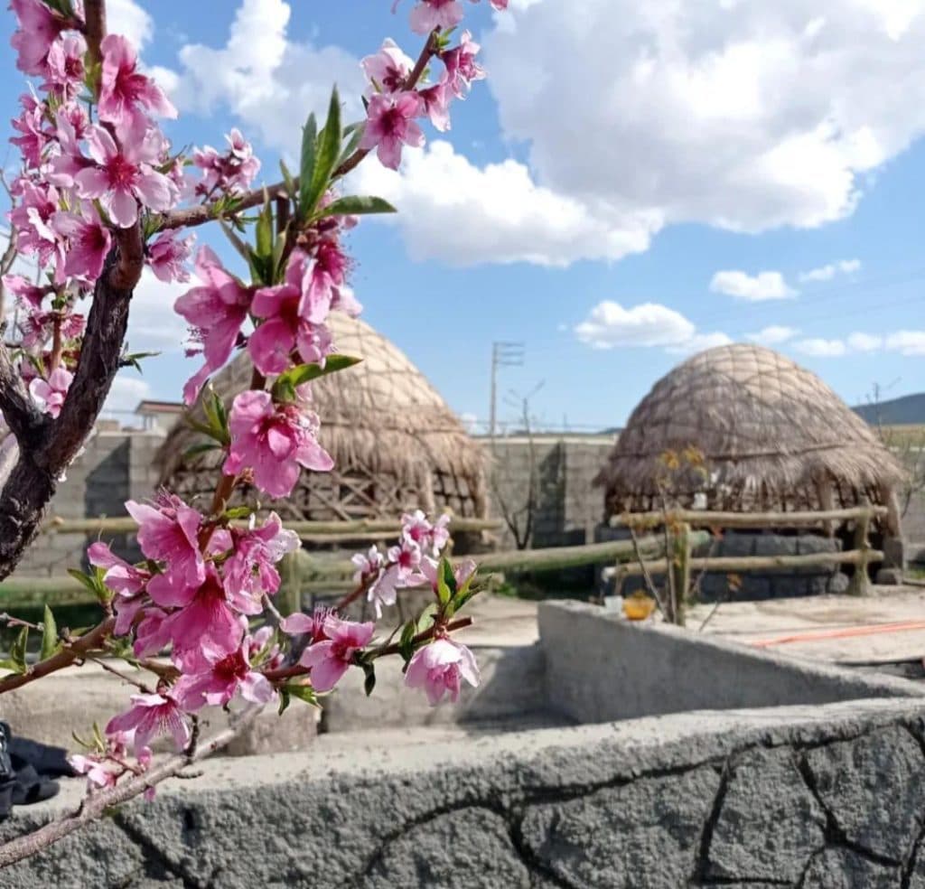 مجموعه پذیرایی و باغ رستوران شاخه نبات در بوکان