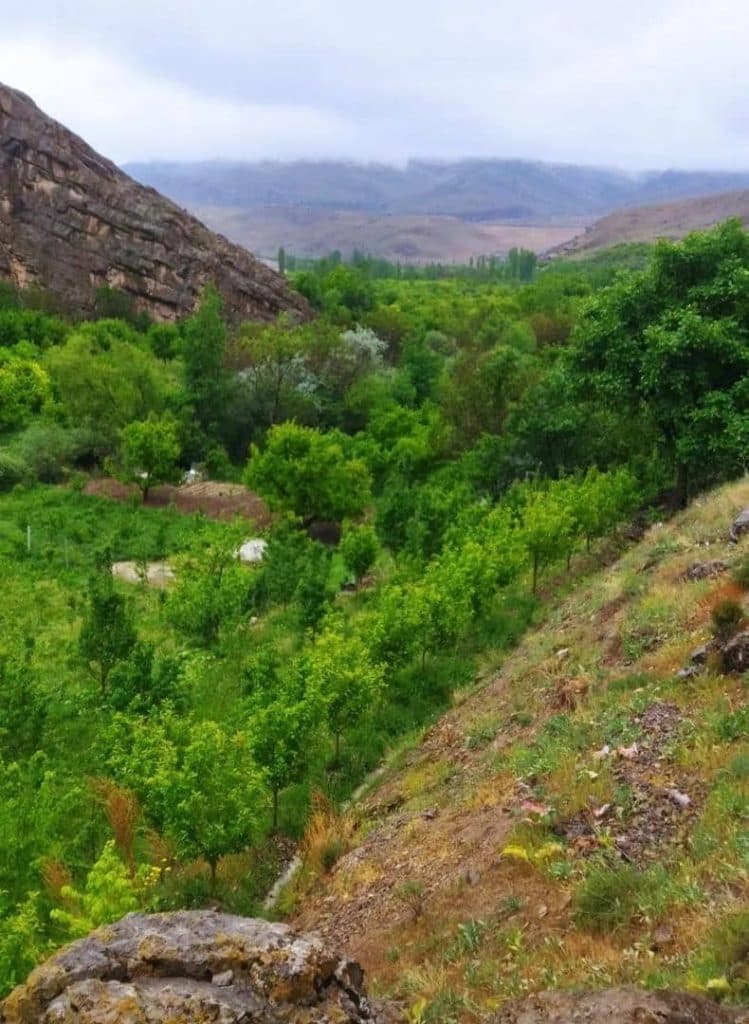 اقامتگاه بومگردی و گردشگری گل بو در امرودک مشهد