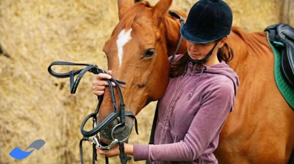 خرید و فروش اسب امید در اصفهان