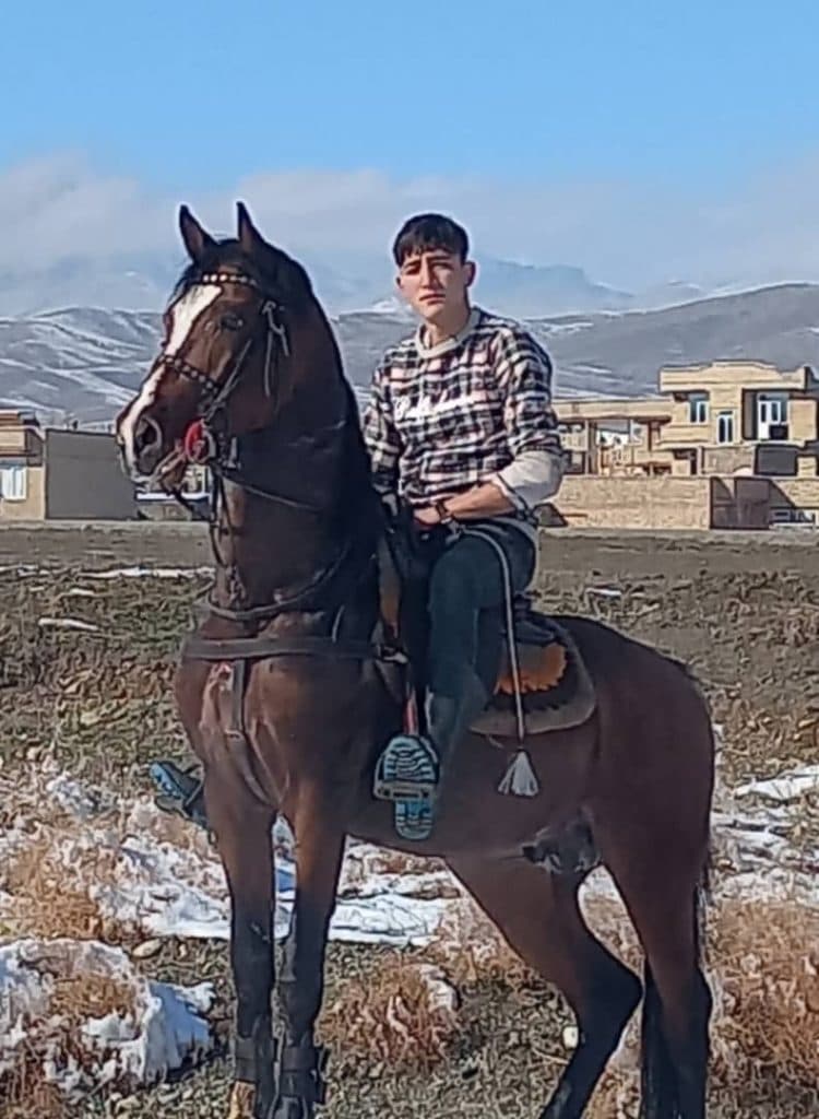 تولید و پرورش اسب کرد امیر ارسلان در سلماس