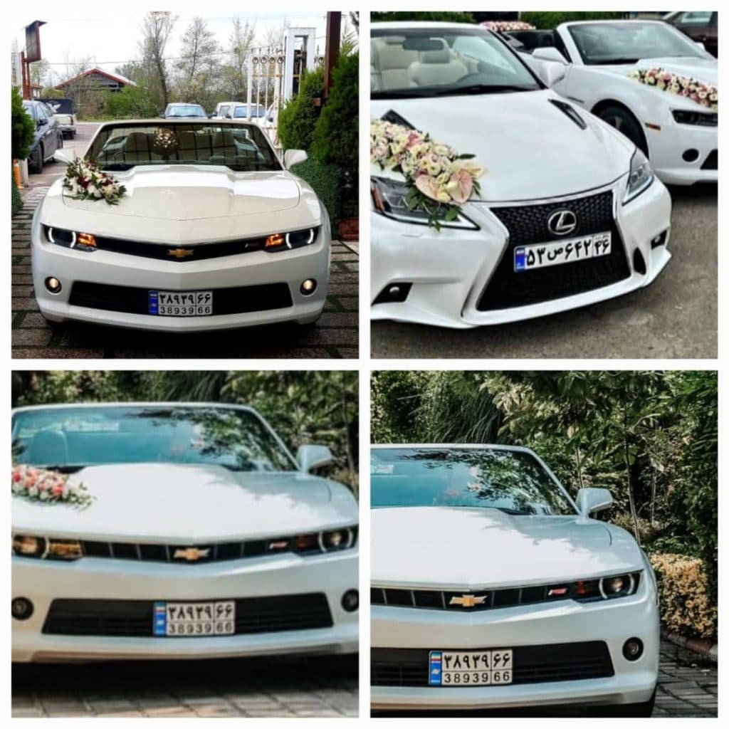 گل فروشی کاتالیا در رشت