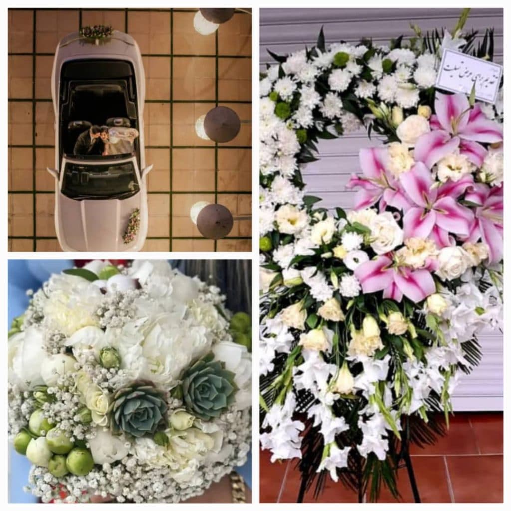 گل فروشی کاتالیا در رشت