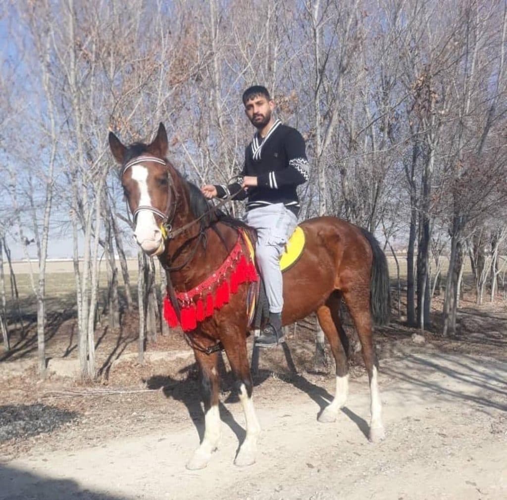 خرید و فروش اسب امید در اصفهان