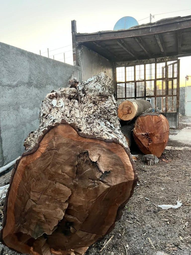 تولید چوب های اسلب گردو و چنار و کالباسی حسین پور در مشهد