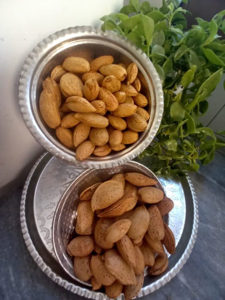 محصولات ارگانیک مزرعه در سبزوار خراسان رضوی