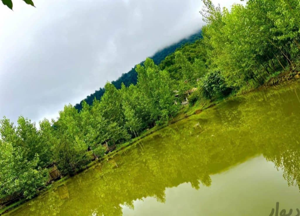 اقامتگاه کلبه چوبی مصطفی عابدی در سوادکوه مازندران