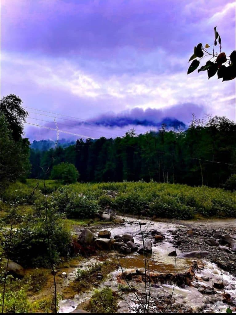 اقامتگاه کلبه چوبی مصطفی عابدی در سوادکوه مازندران