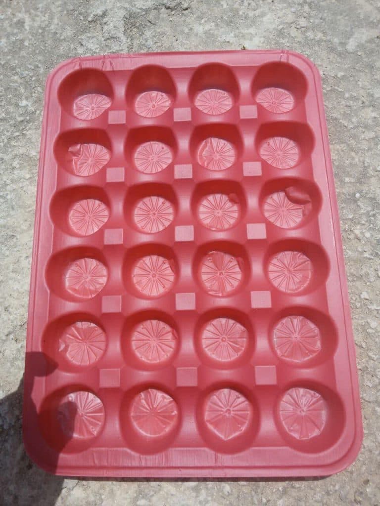 تولیدی شانه میوه برادران بسکابادی در نکا مازندران