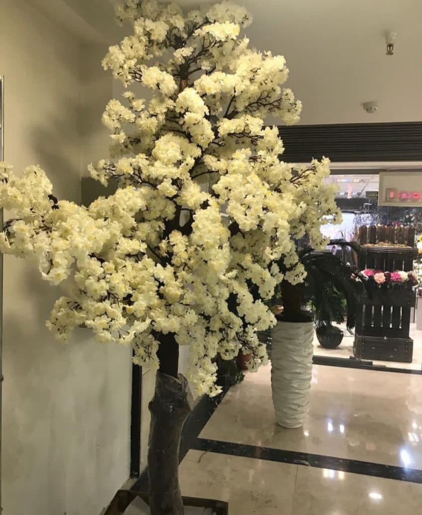 تشریفات و تجهیزات تالار یاس سفید عجمی در شوش تهران