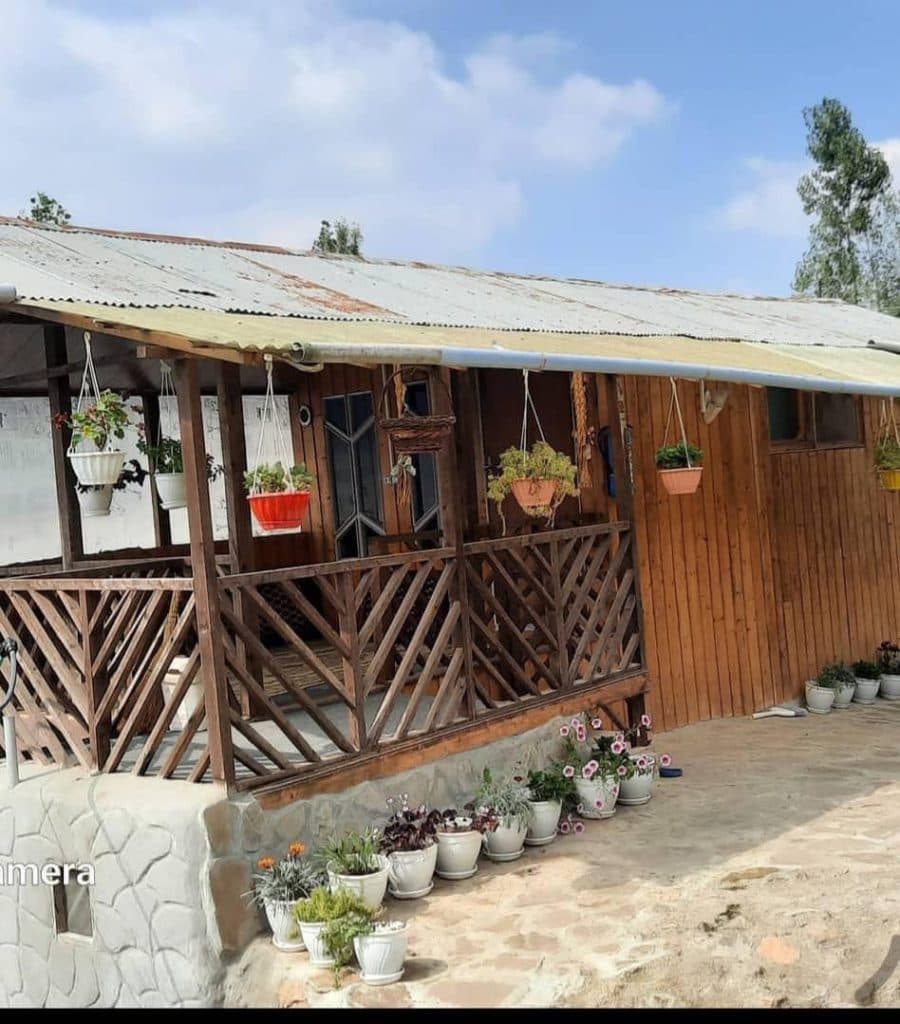 اجاره کلبه جنگلی شومنزل در بابل