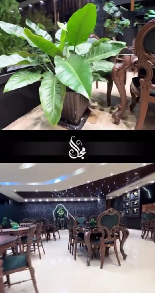 کافه رستوران مجلل در قم