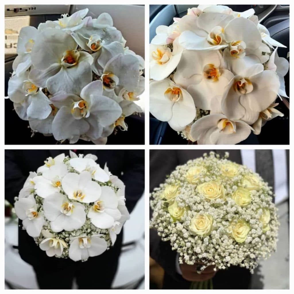 گل فروشی کاتالیا در رشت