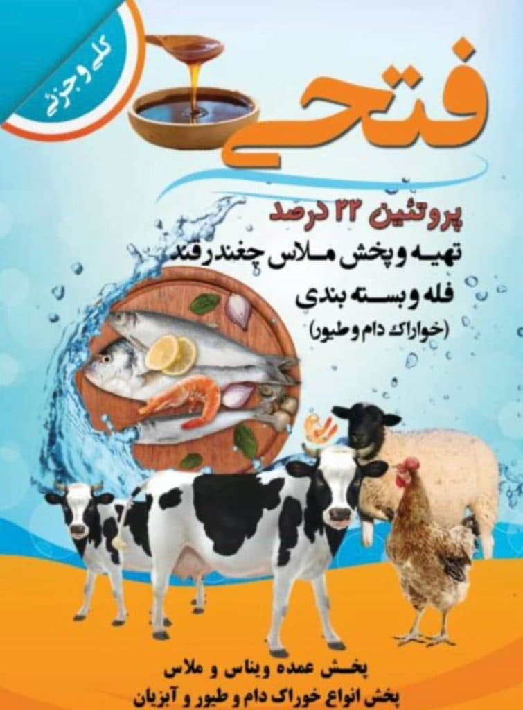 شرکت خرید و فروش ملاس چغندر قند و پساب ملاس فتحی در ایلام