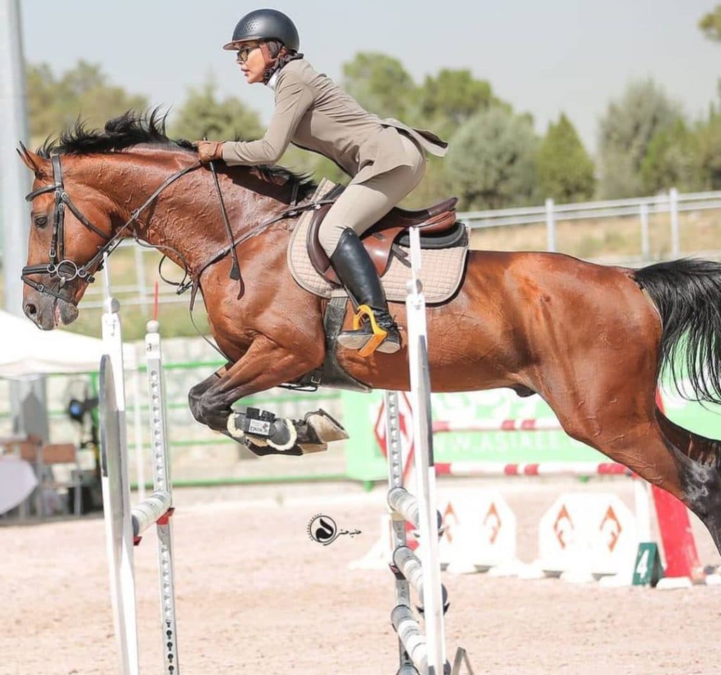 باشگاه سوارکاری و مرکز پرورش اسب شکوری در تهران