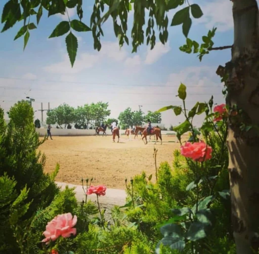 باشگاه سوارکاری و مرکز پرورش اسب شکوری در تهران