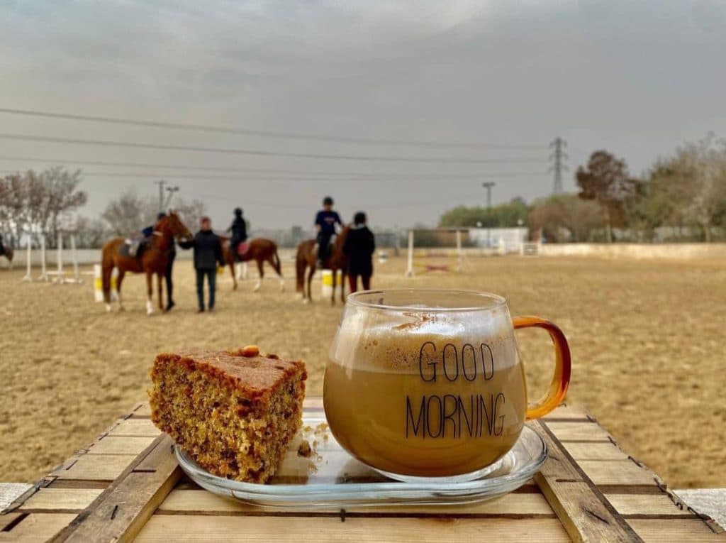 باشگاه سوارکاری و مرکز پرورش اسب شکوری در تهران