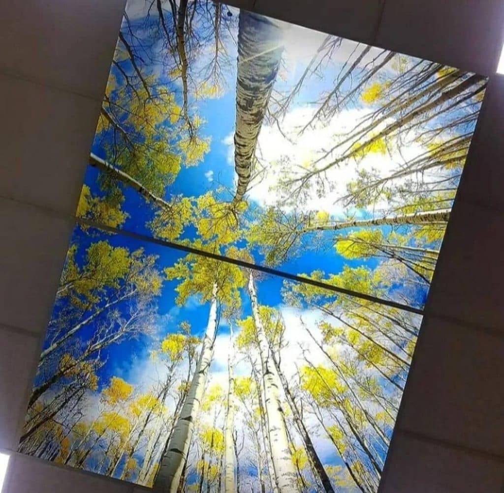 تولید و فروش و پخش تایل سی ان سی و آسمان مجازی جمال حسینی در تبریز