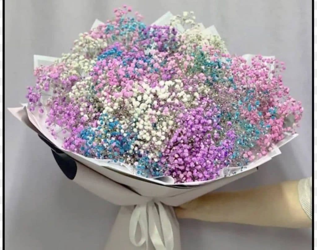 گل فروشی نیلوفرآبی در قزوین