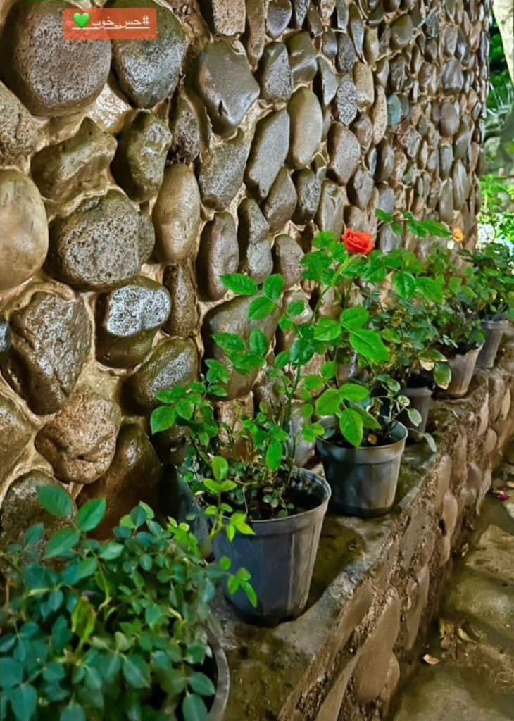 کافه رستوران جنگلی ائللر در زنجان