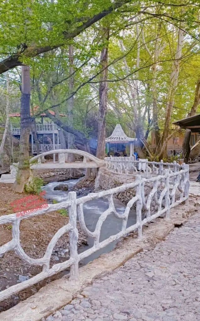 کافه رستوران جنگلی ائللر در زنجان