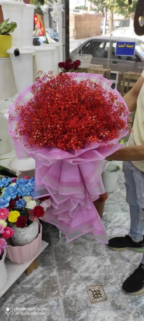 گل فروشی نیلوفرآبی در قزوین