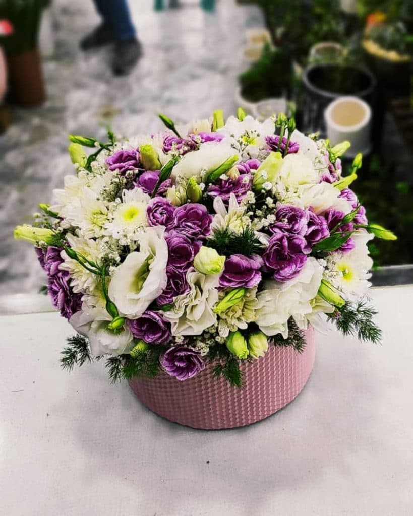 گل فروشی نیلوفرآبی در قزوین