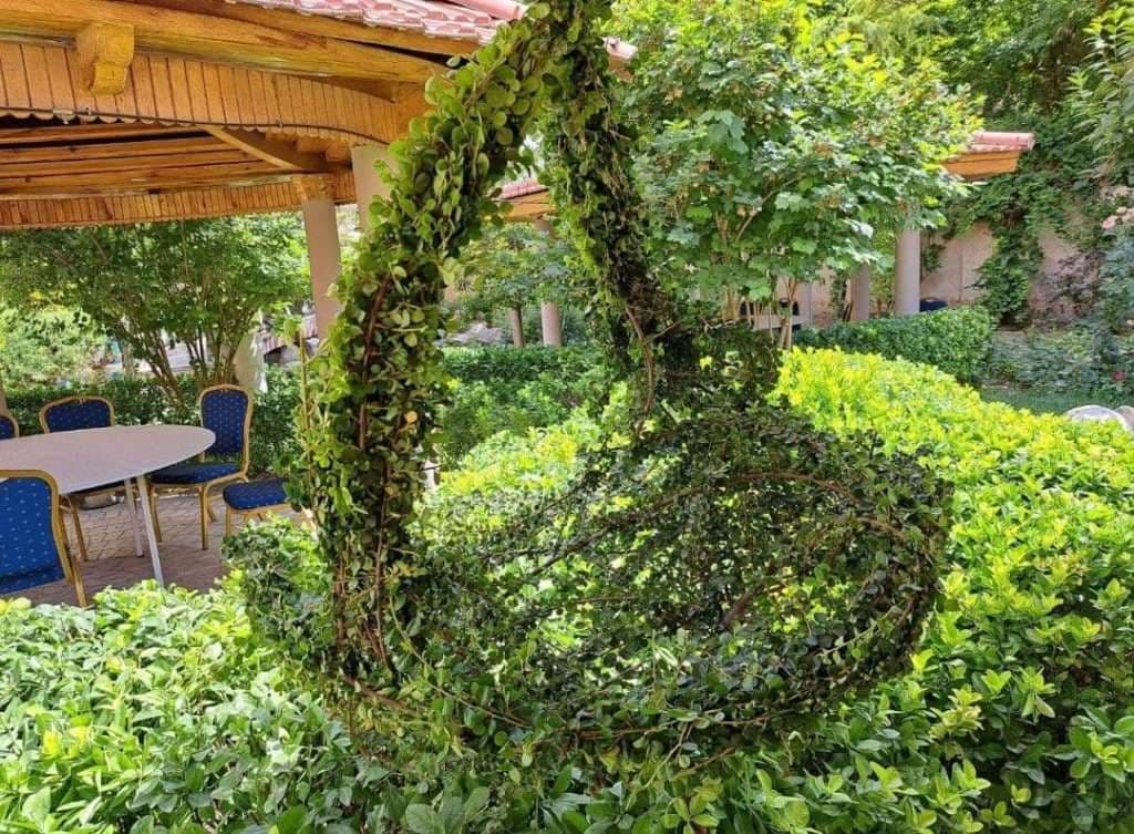 محوطه سازی و فضای سبز محمدی در مشهد